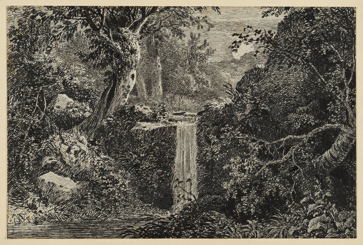Cascata na floresta de Johann Christoph Erhard