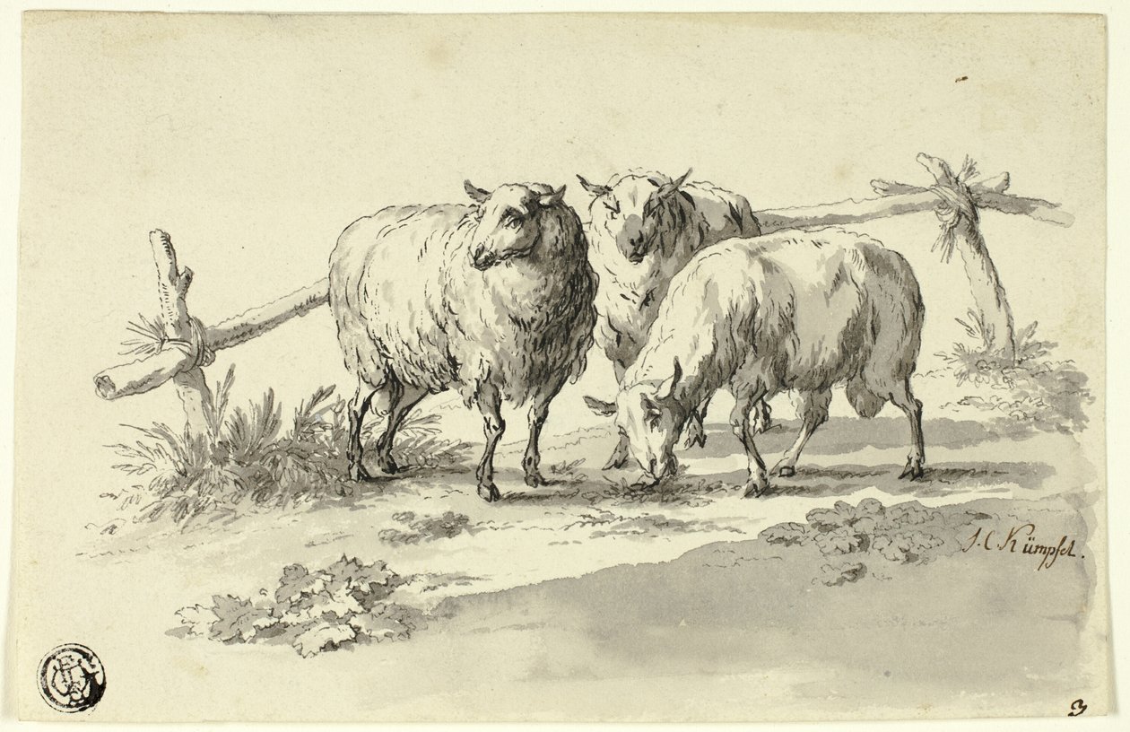 Ovelha de Johann Christoph Kimpfel