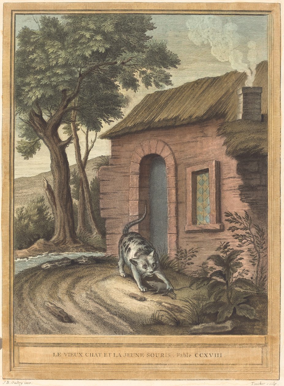 O Gato Velho e o Rato Jovem de Johann Christoph Teucher after Jean Baptiste Oudry