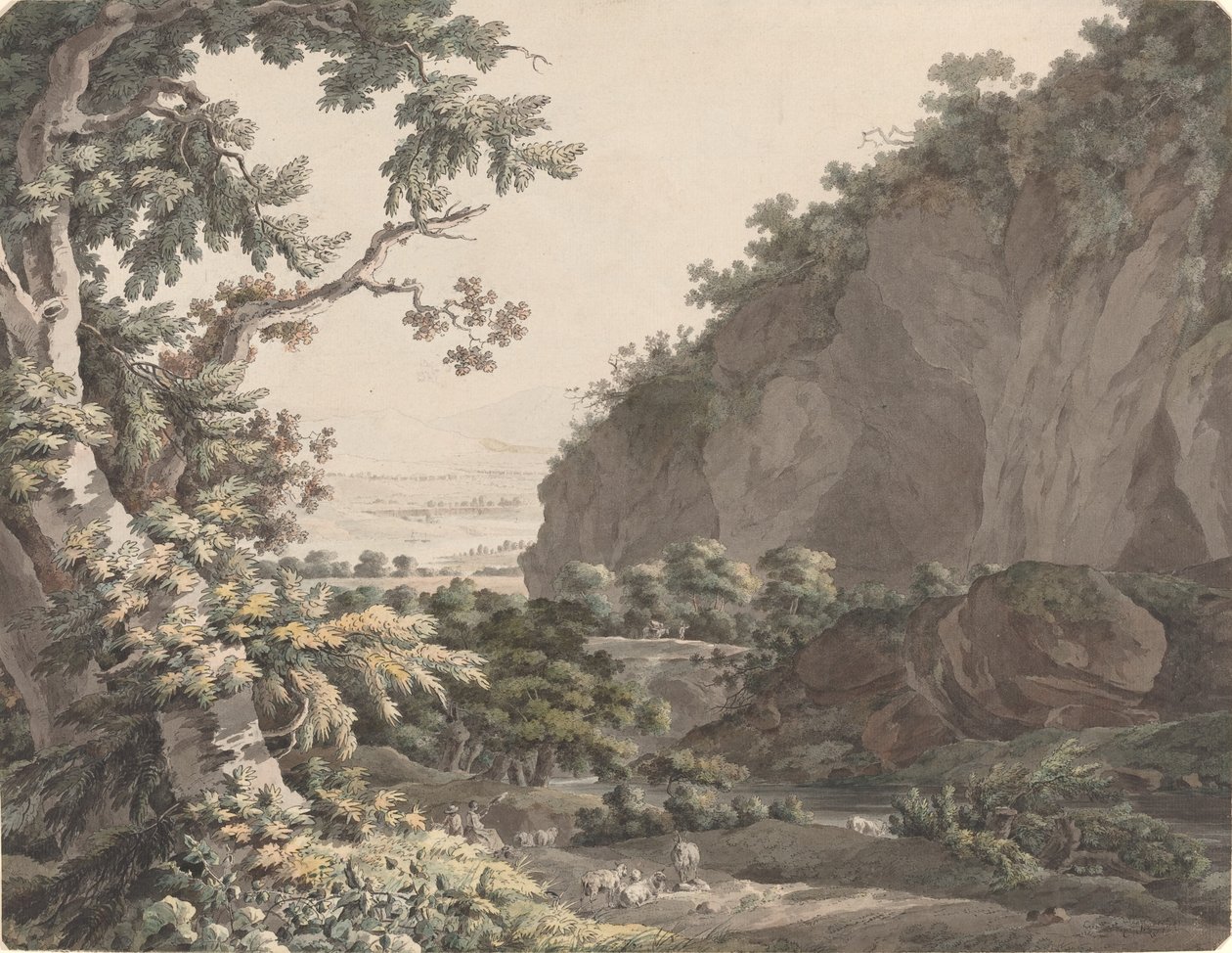 Um vale arborizado com penhascos rochosos de Johann Conrad Steiner