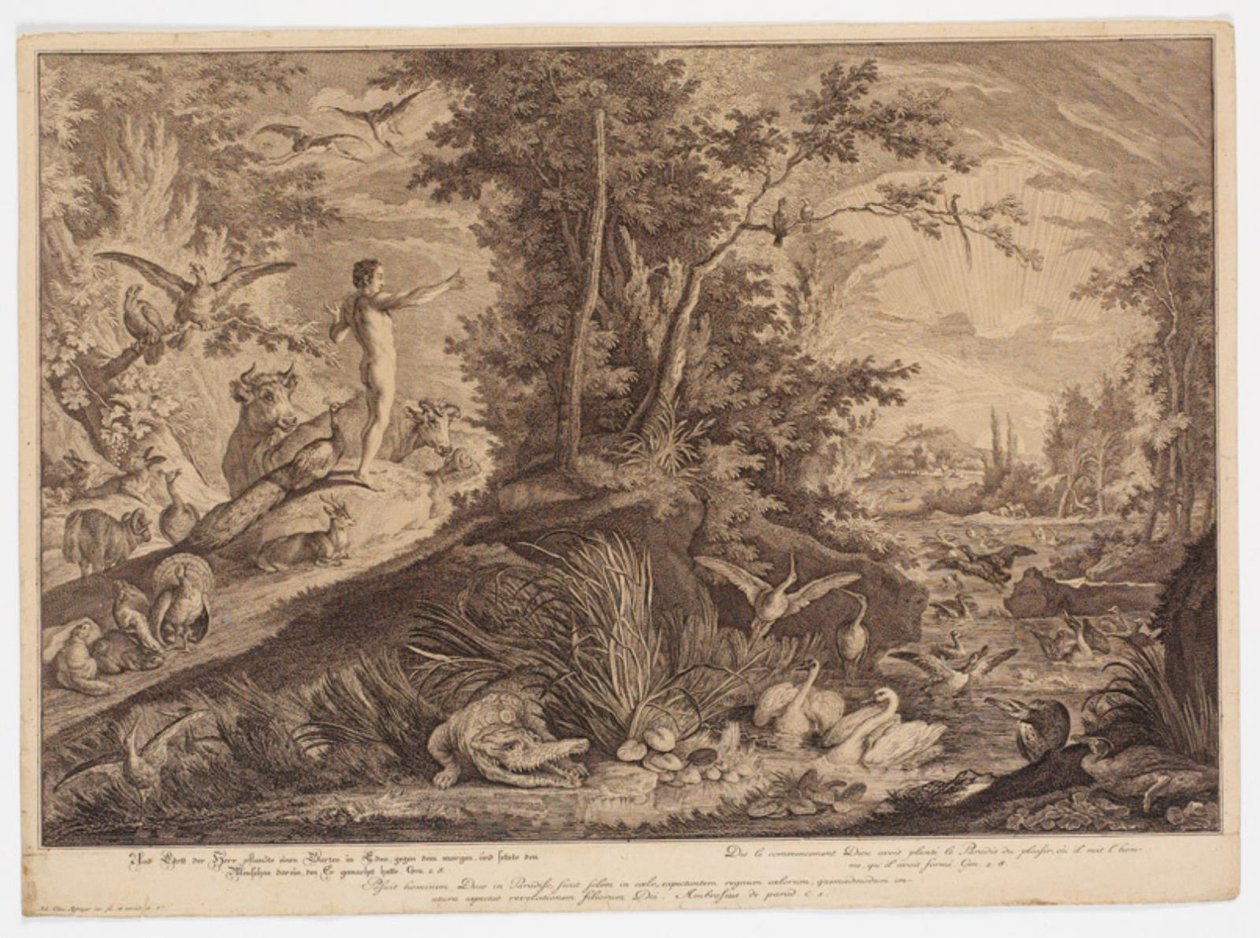 Adam i Edens tem de Johann Elias Ridinger