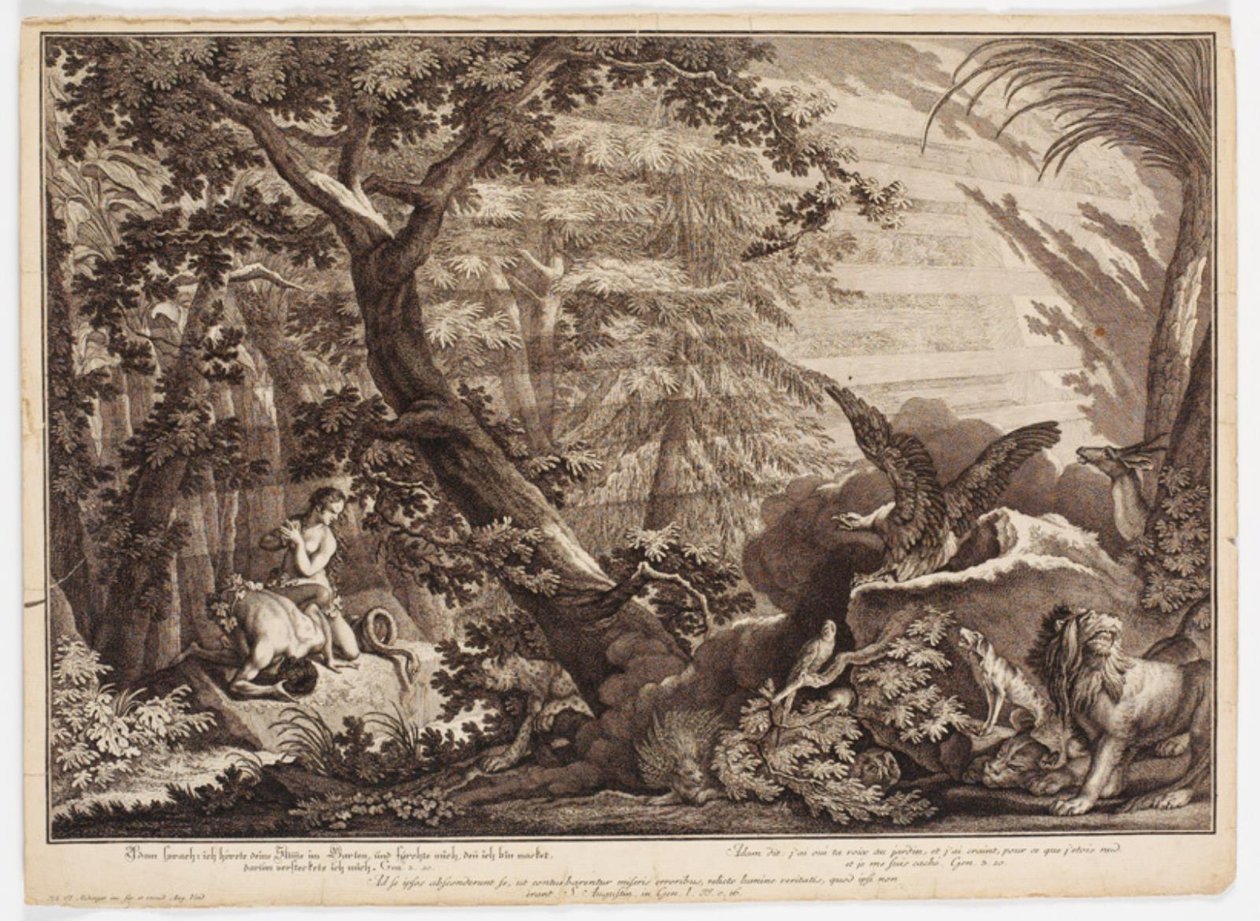 Adão e Eva descobrem que estão nus de Johann Elias Ridinger