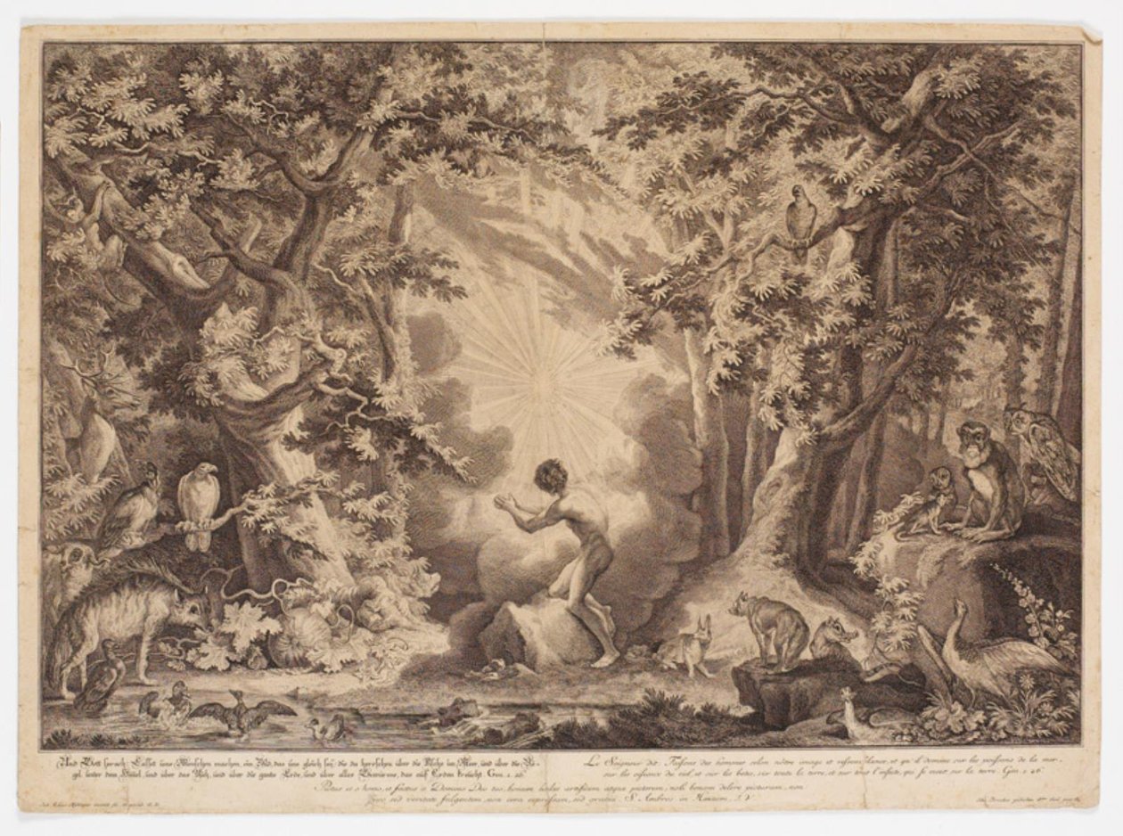 A criação de Adão de Johann Elias Ridinger
