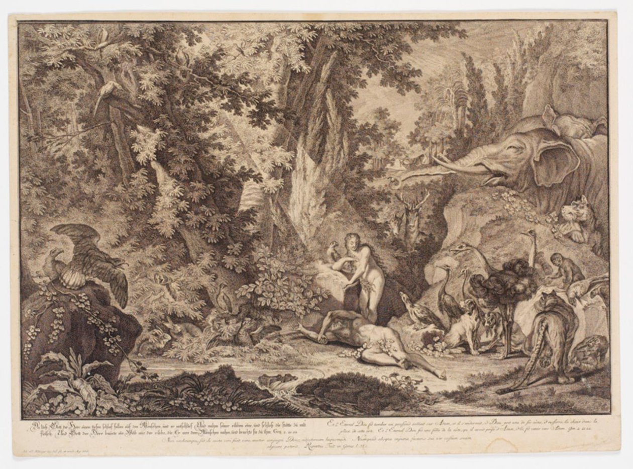 A criação de Eva de Johann Elias Ridinger