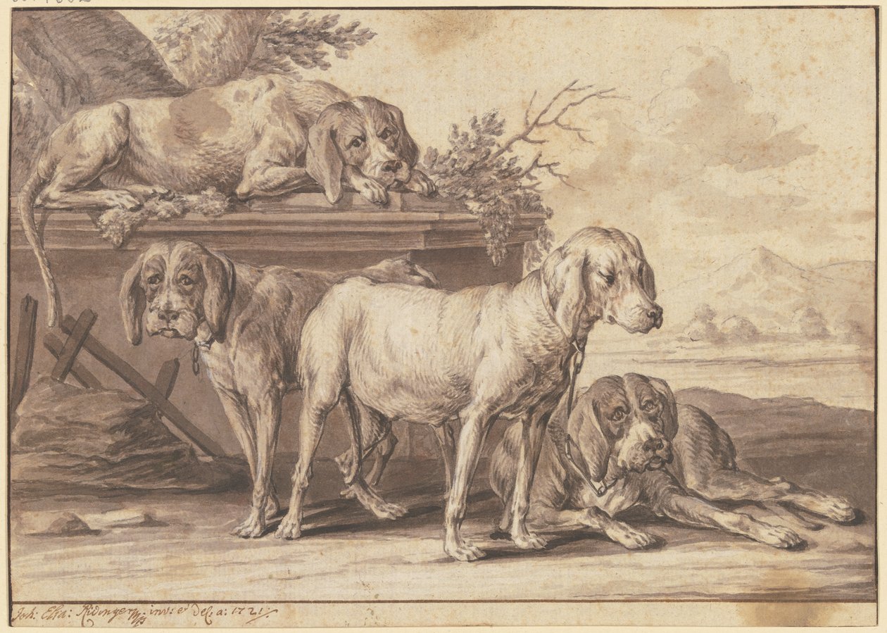 Quatro cães de caça de Johann Elias Ridinger