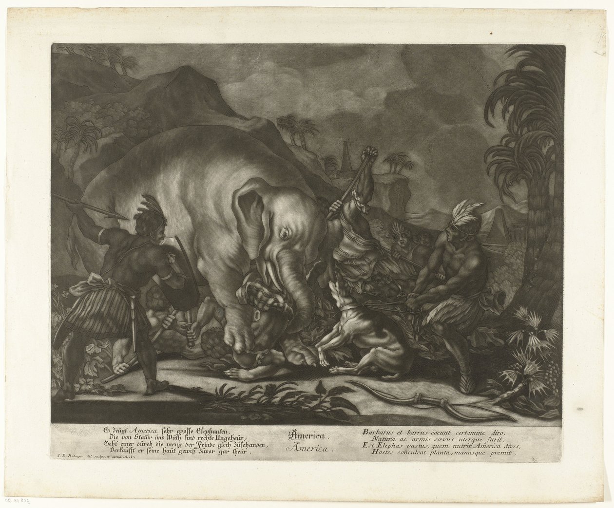 Caça ao elefante América (título no objeto) de Johann Elias Ridinger