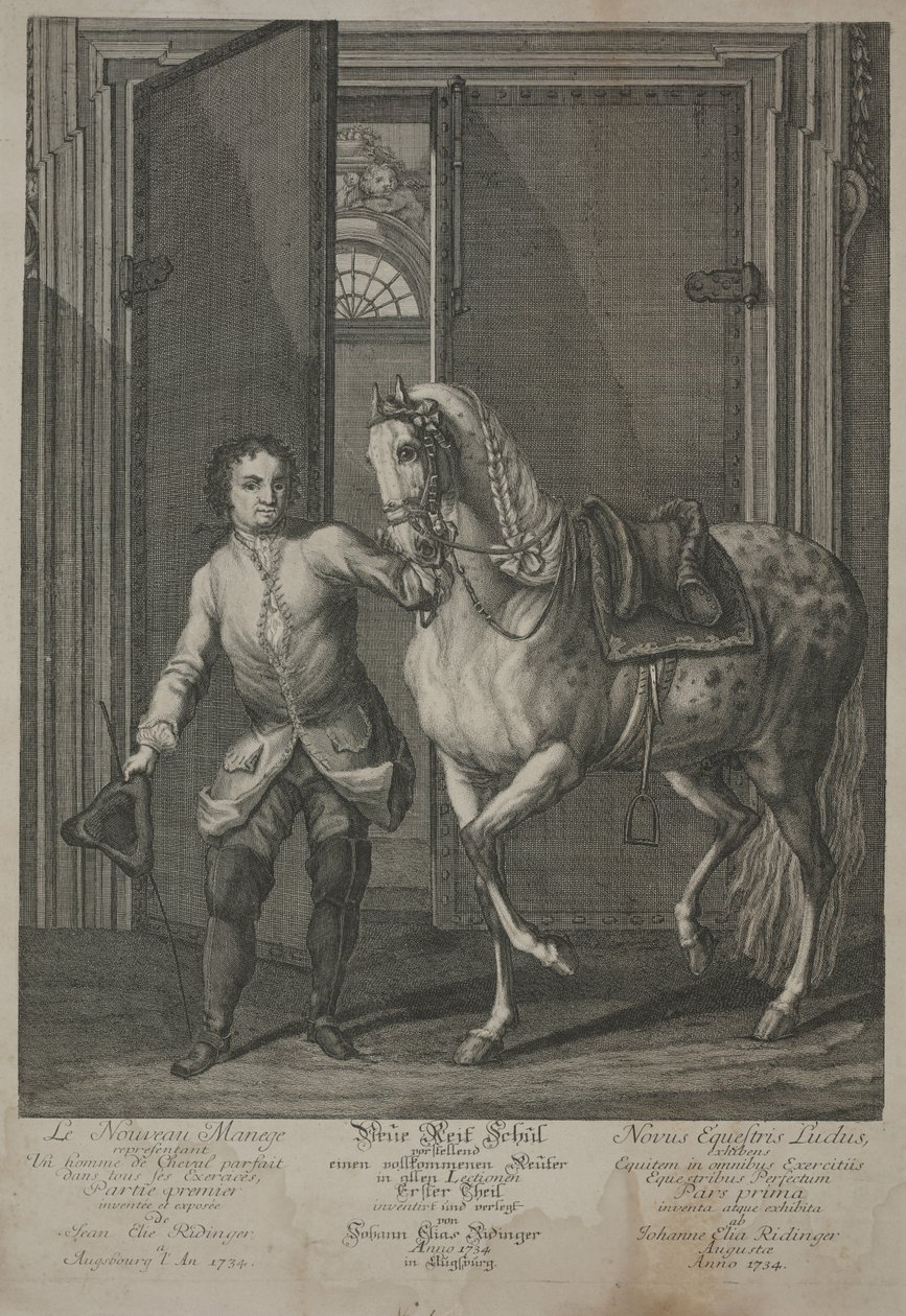 Nova Escola de Equitação de Johann Elias Ridinger