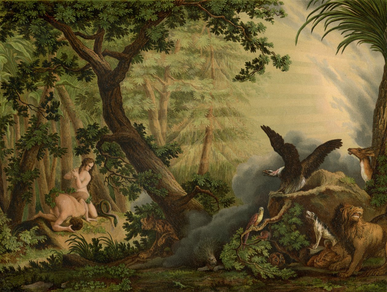A queda de Johann Elias Ridinger or Riedinger