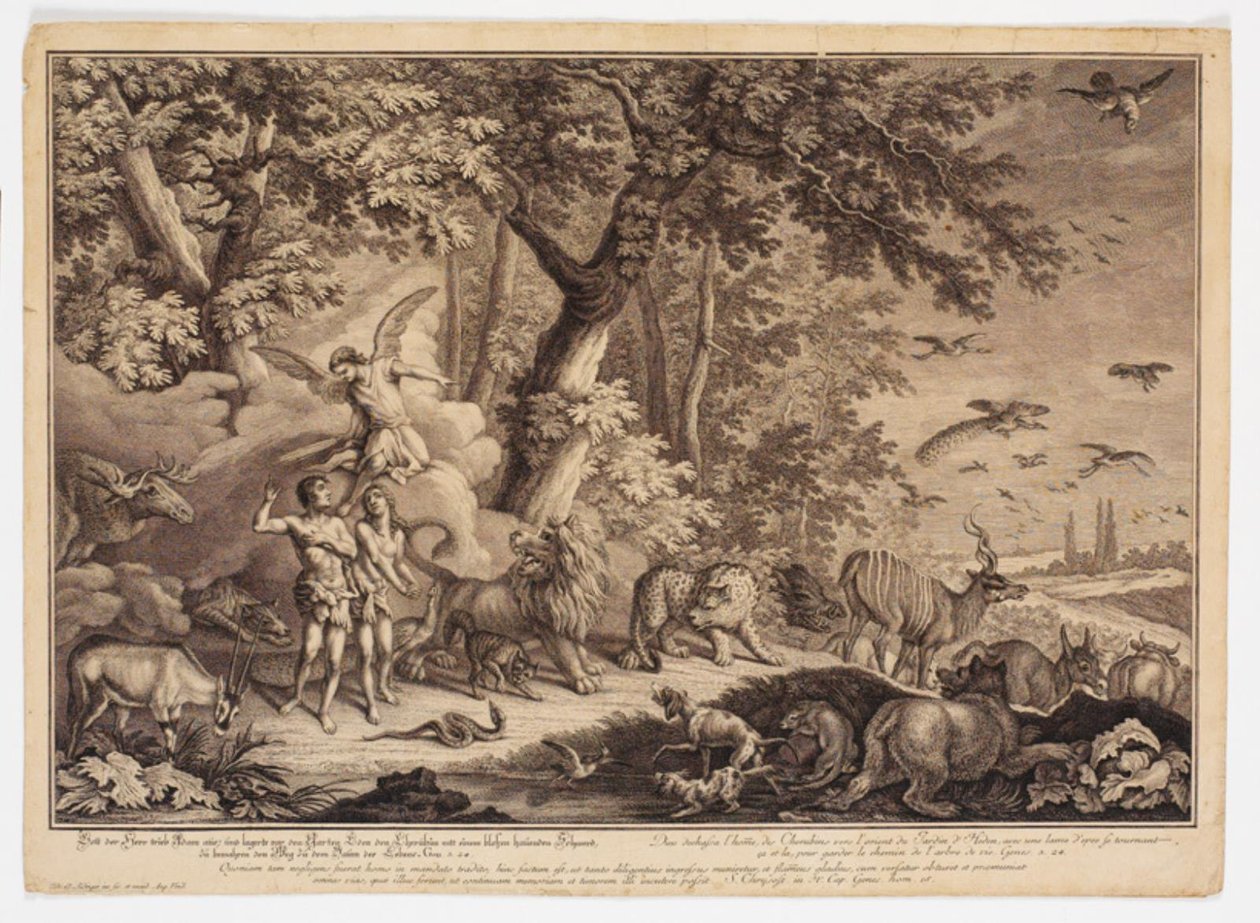A expulsão do paraíso de Johann Elias Ridinger