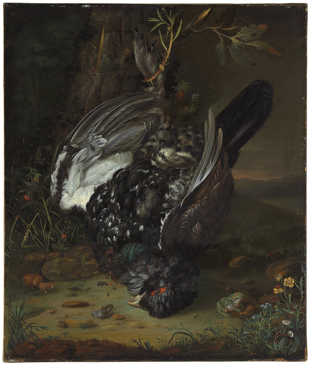 Um blackcock em uma paisagem arborizada, 1747 de Johann Friedrich von Grooth