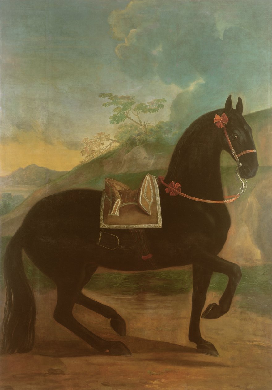 Um cavalo preto ostentando uma sela espanhola de Johann Georg Hamilton