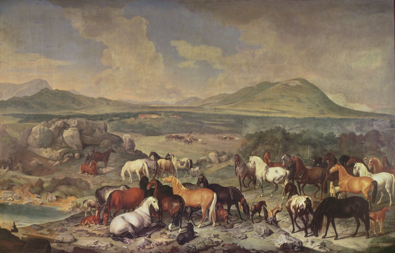 O Stud Imperial com Cavalos Lipizzaner de Johann Georg Hamilton