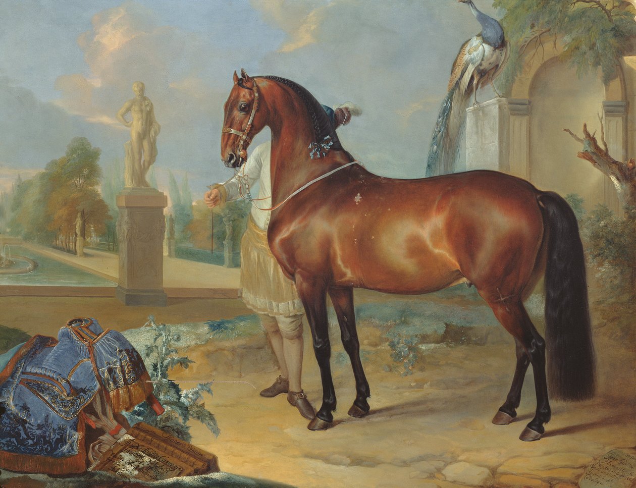 O cavalo da baía &39;Sincero&39; de Johann Georg Hamilton