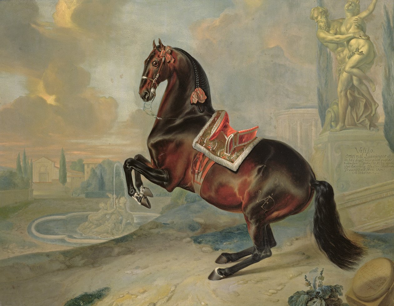 O cavalo baio escuro &39;Valido&39; executando um movimento Levade de Johann Georg Hamilton