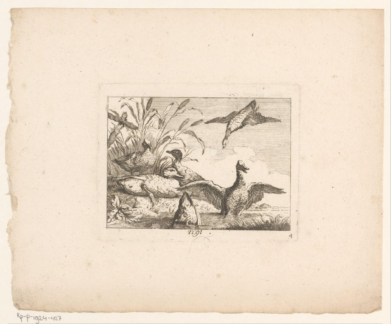 Paisagem com seis patos Pássaros em paisagens (título da série) de Johann Georg Hertel (I) (possibly)