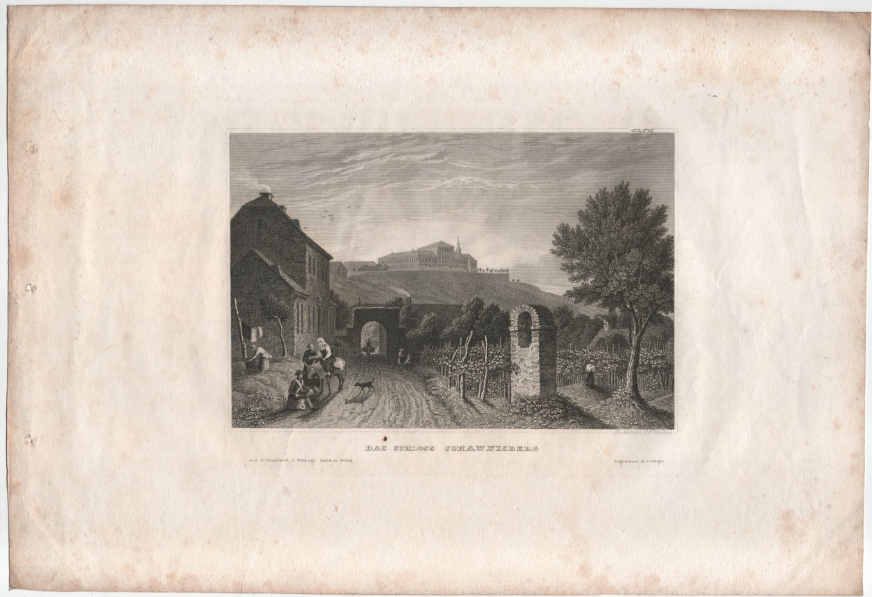 Castelo de Johannisberg de Johann Georg Martini