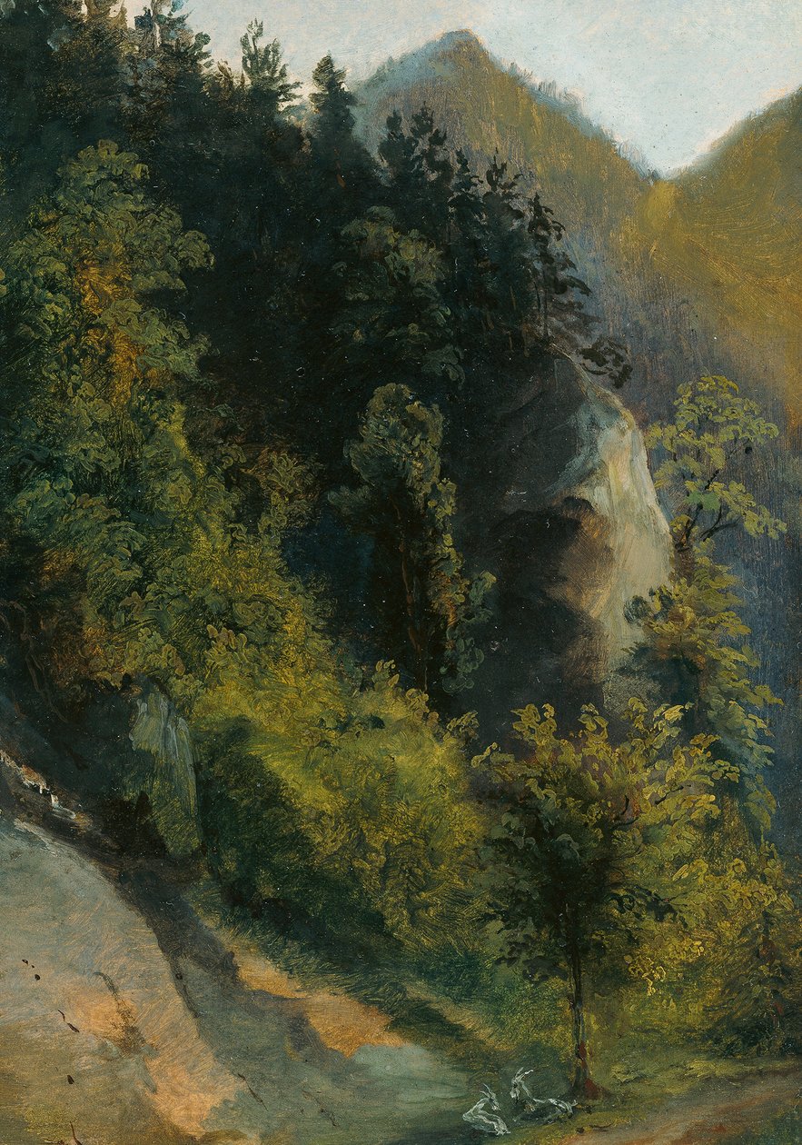 Vale rochoso arborizado com cabras de Johann Georg von Dillis
