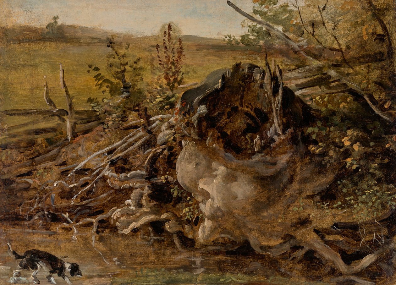 Cepo de árvore em decomposição e cão de caça de Johann Georg von Dillis