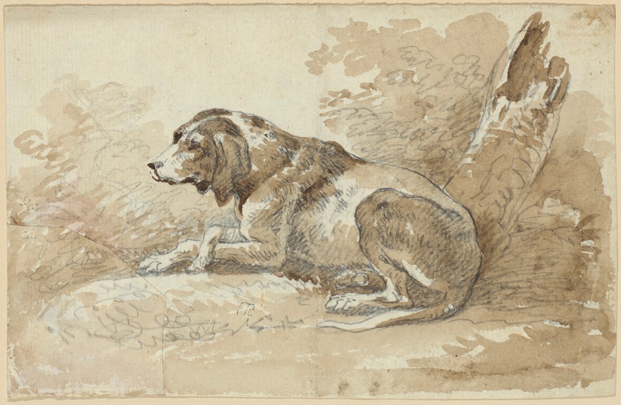 Dois estudos com cães de Johann Georg von Dillis