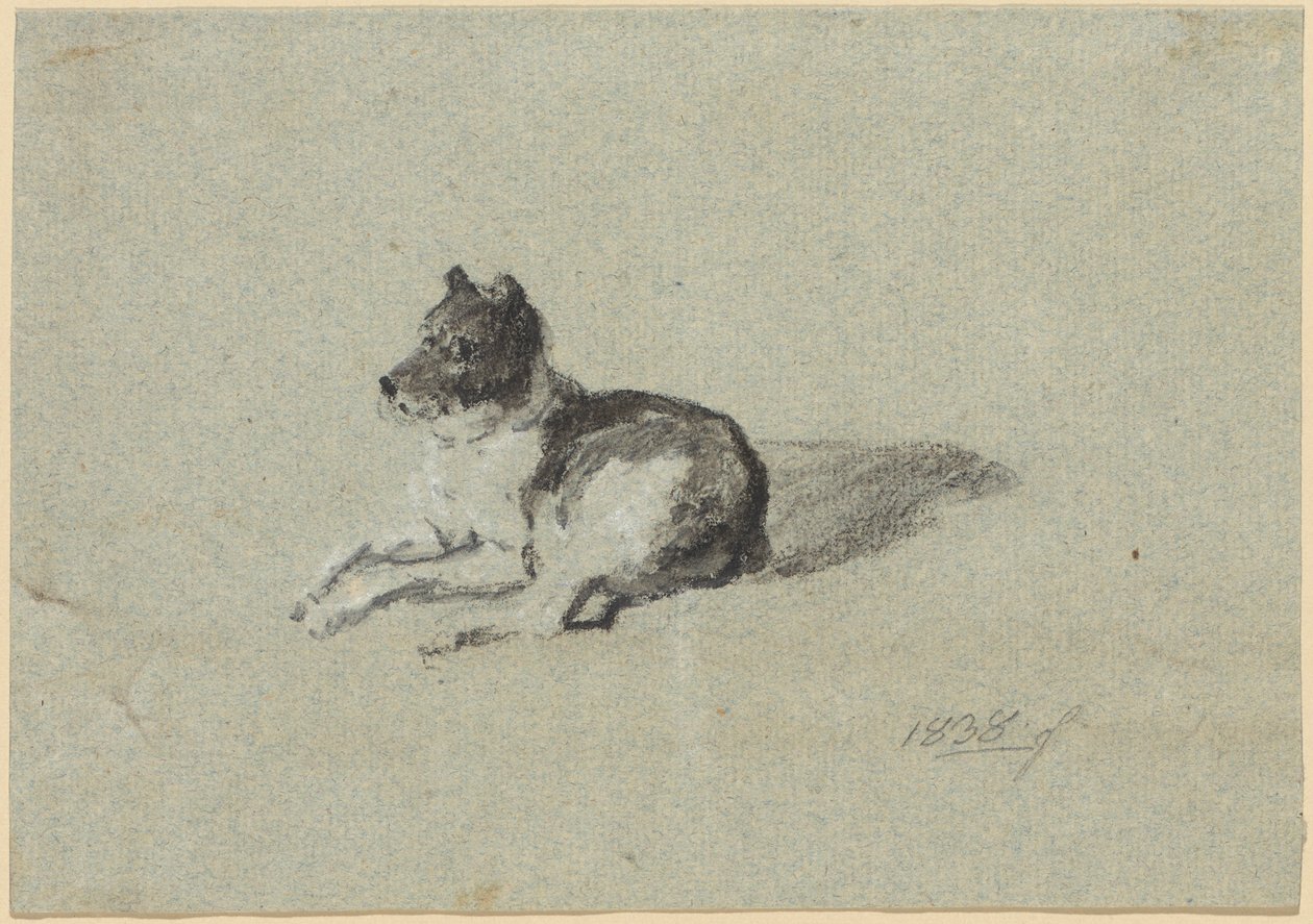 Dois estudos com cães de Johann Georg von Dillis