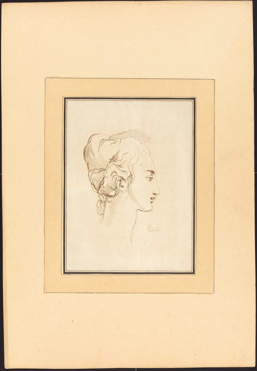 Cabeça de uma mulher de Johann Gottlieb Prestel after Guercino