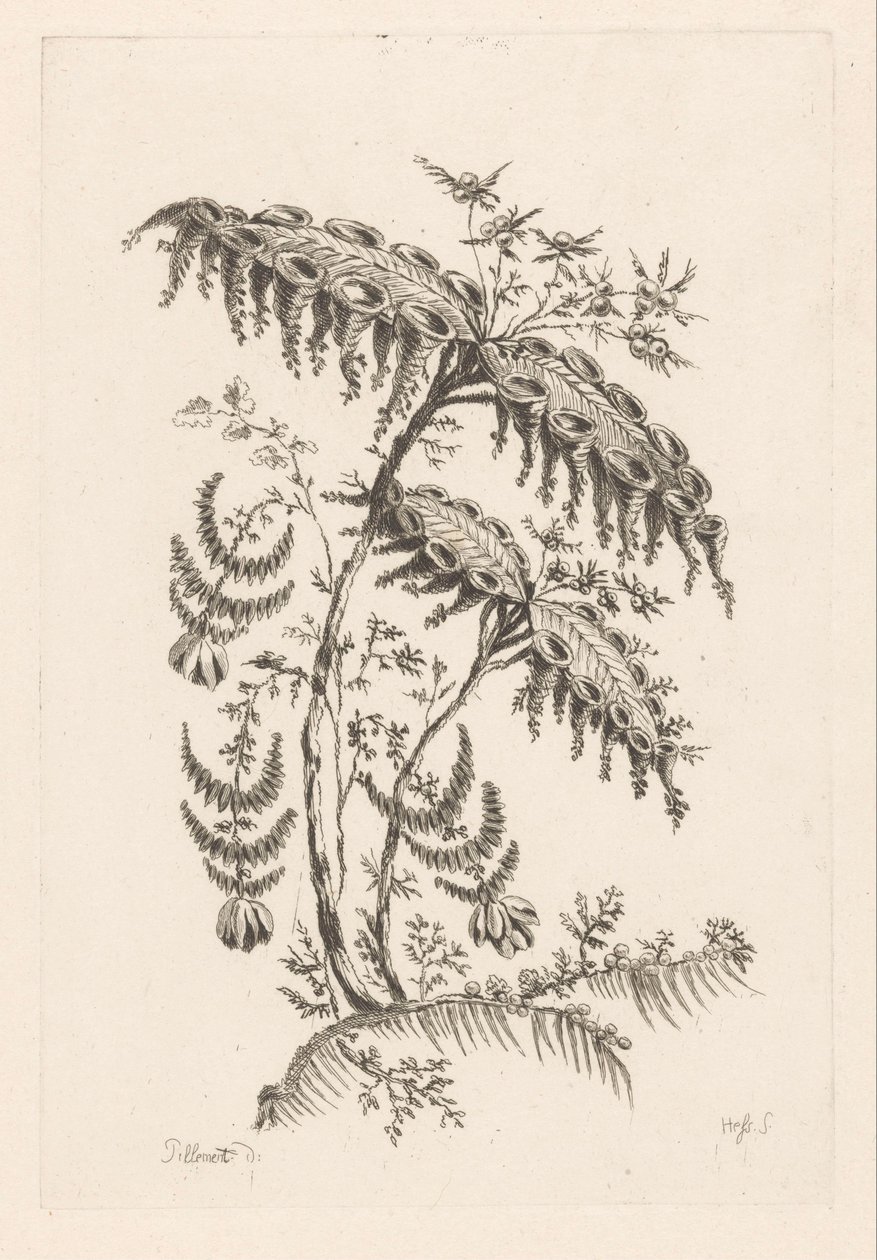 Folhas com formas de chifre Fleures Baroque (título da série) de Johann Heinrich  Hess