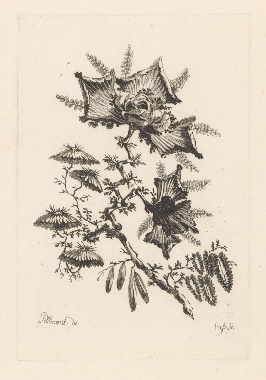 Flores em forma de voo
Fleures Barroco (título da série) de Johann Heinrich  Hess