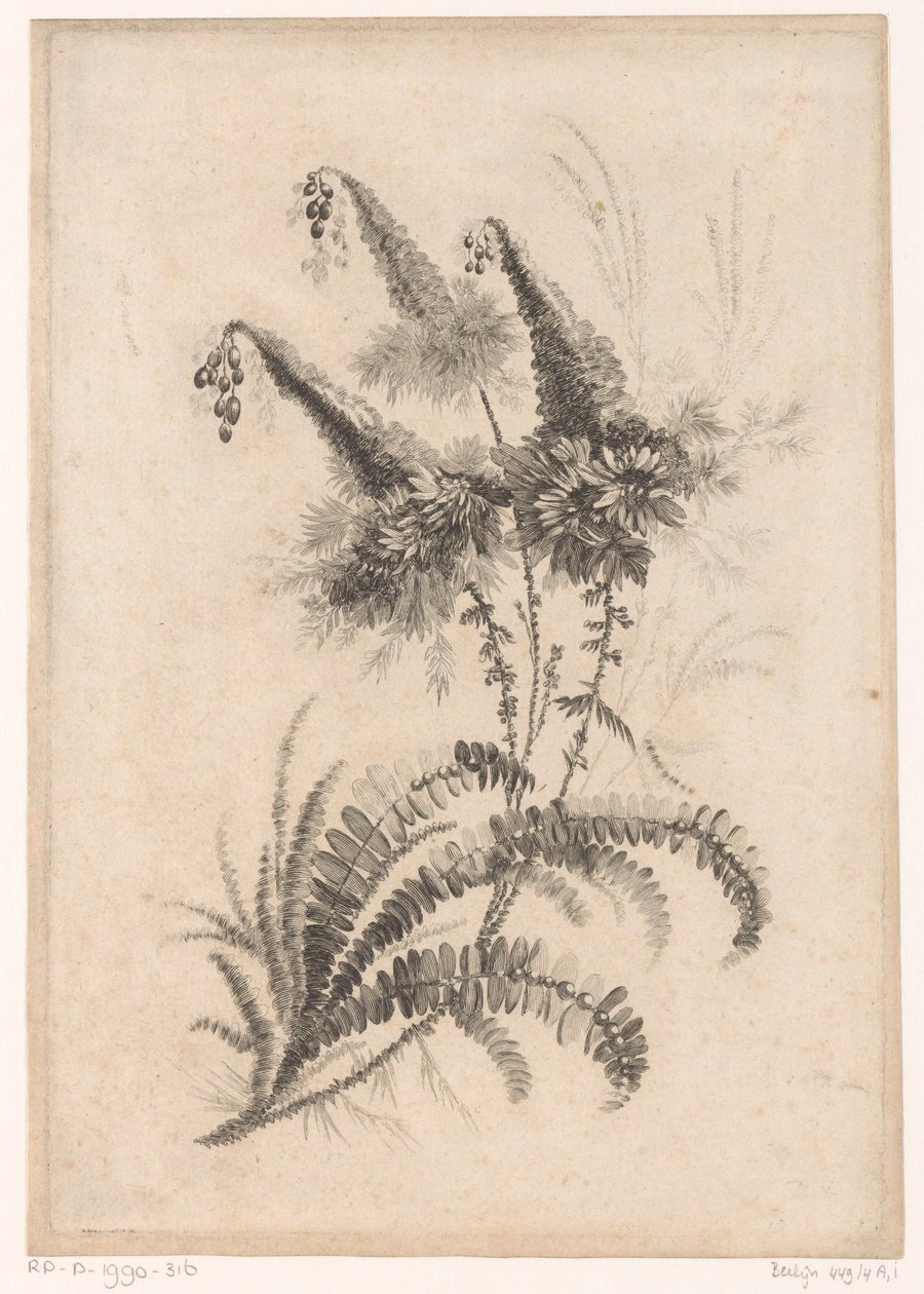 Puntige floresce
Colecção de Novas Flores de Gosto; Para a Fábrica de Tecidos Persas (título da série) de Johann Heinrich  Hess