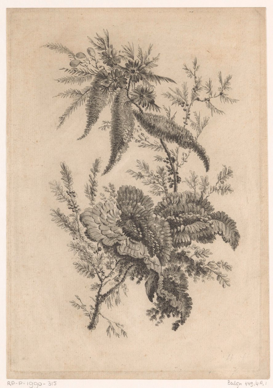 Wilde roosachtigen
Recueil De Nouvelles Fleurs De Goût; Pour la Manufacture des Etoffes de Perse (título da série) de Johann Heinrich  Hess