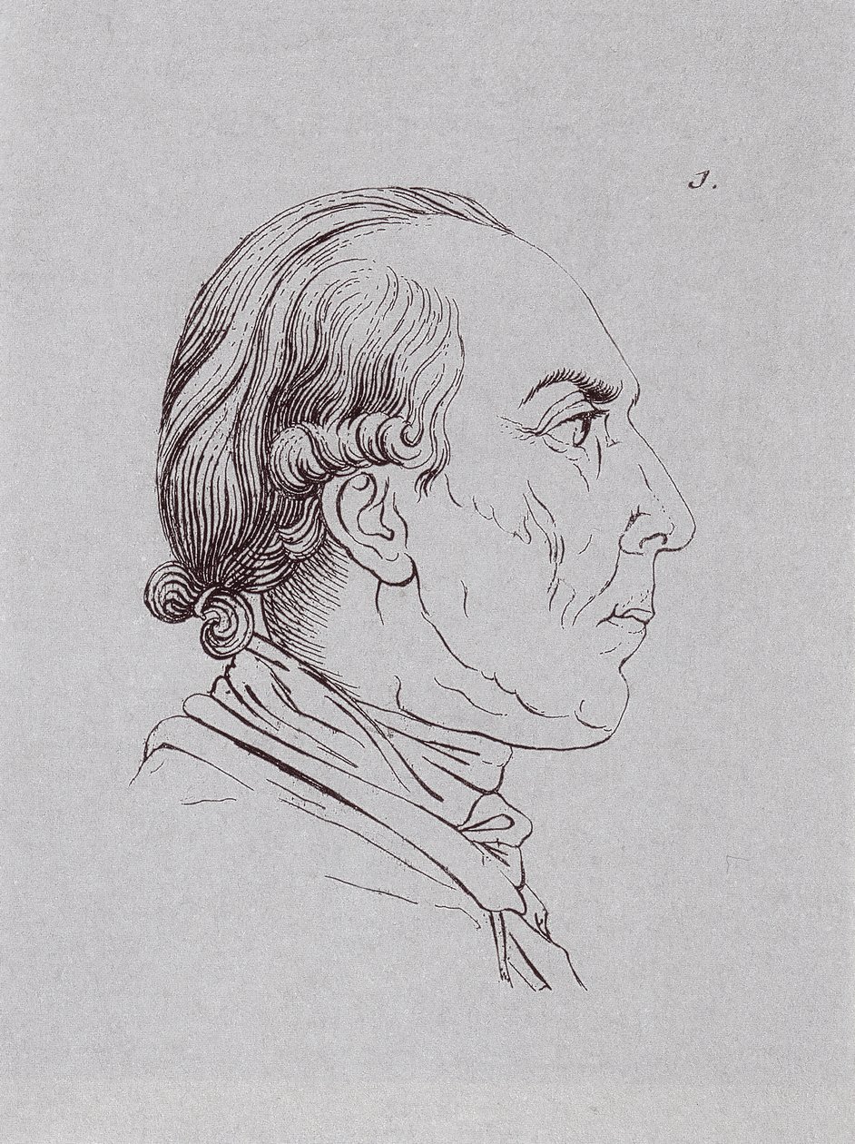 HUBrennwaldi de Johann Heinrich Lips