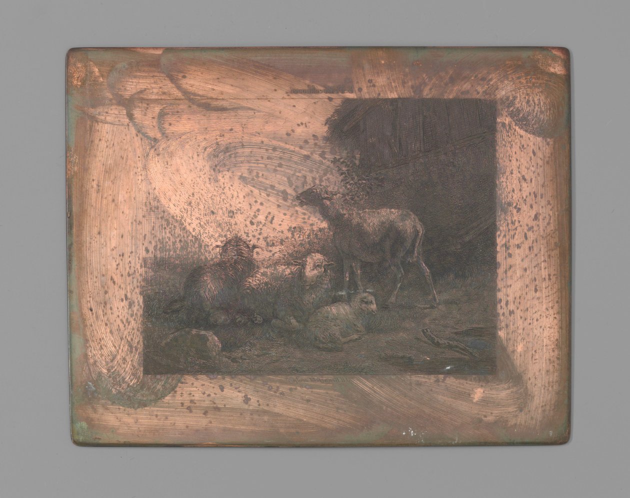 Quatro ovelhas de Johann Heinrich Maria Hubert Rennefeld (signed by artist)