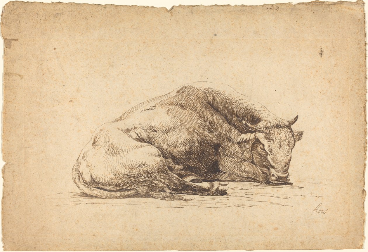 Um touro dormindo de Johann Heinrich Roos