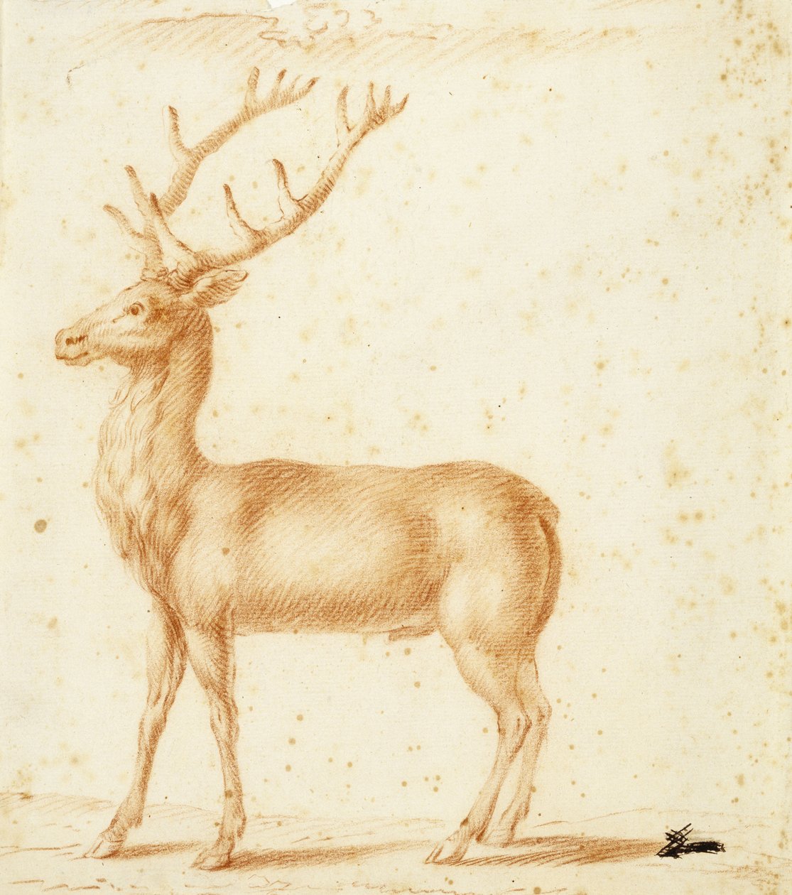 Um veado, do século 17 (giz vermelho sobre papel) de Johann Heinrich Roos