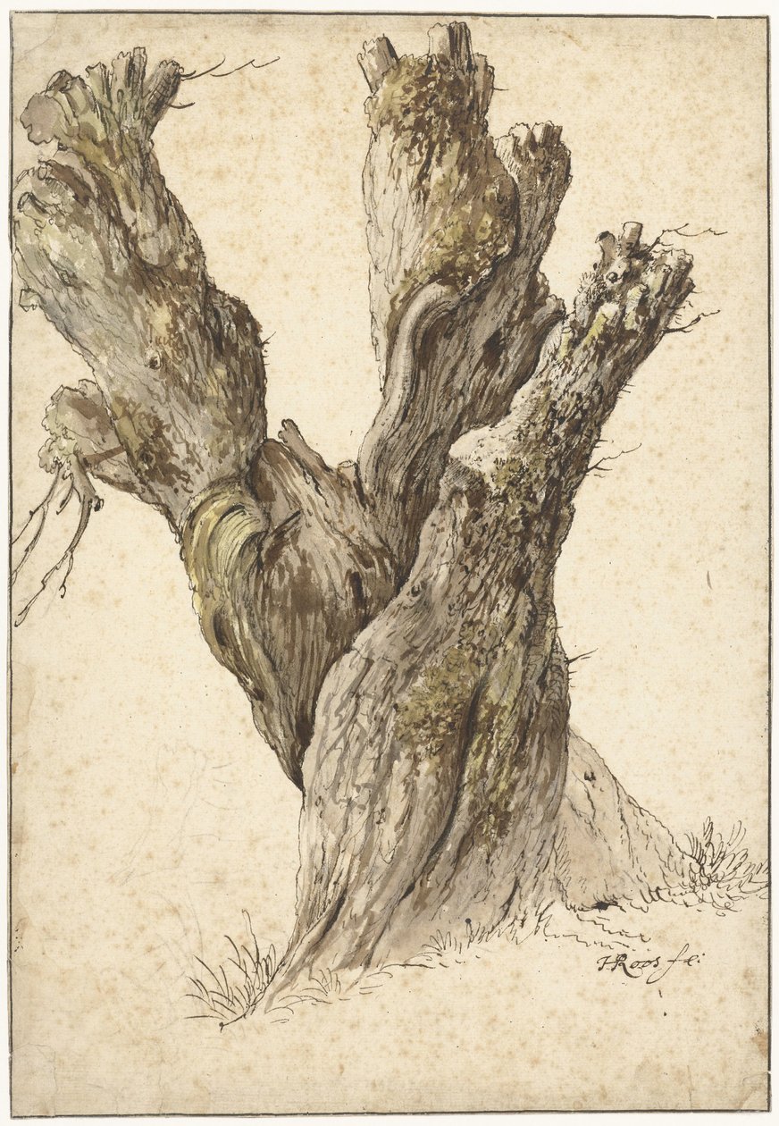 Um salgueiro podado de Johann Heinrich Roos