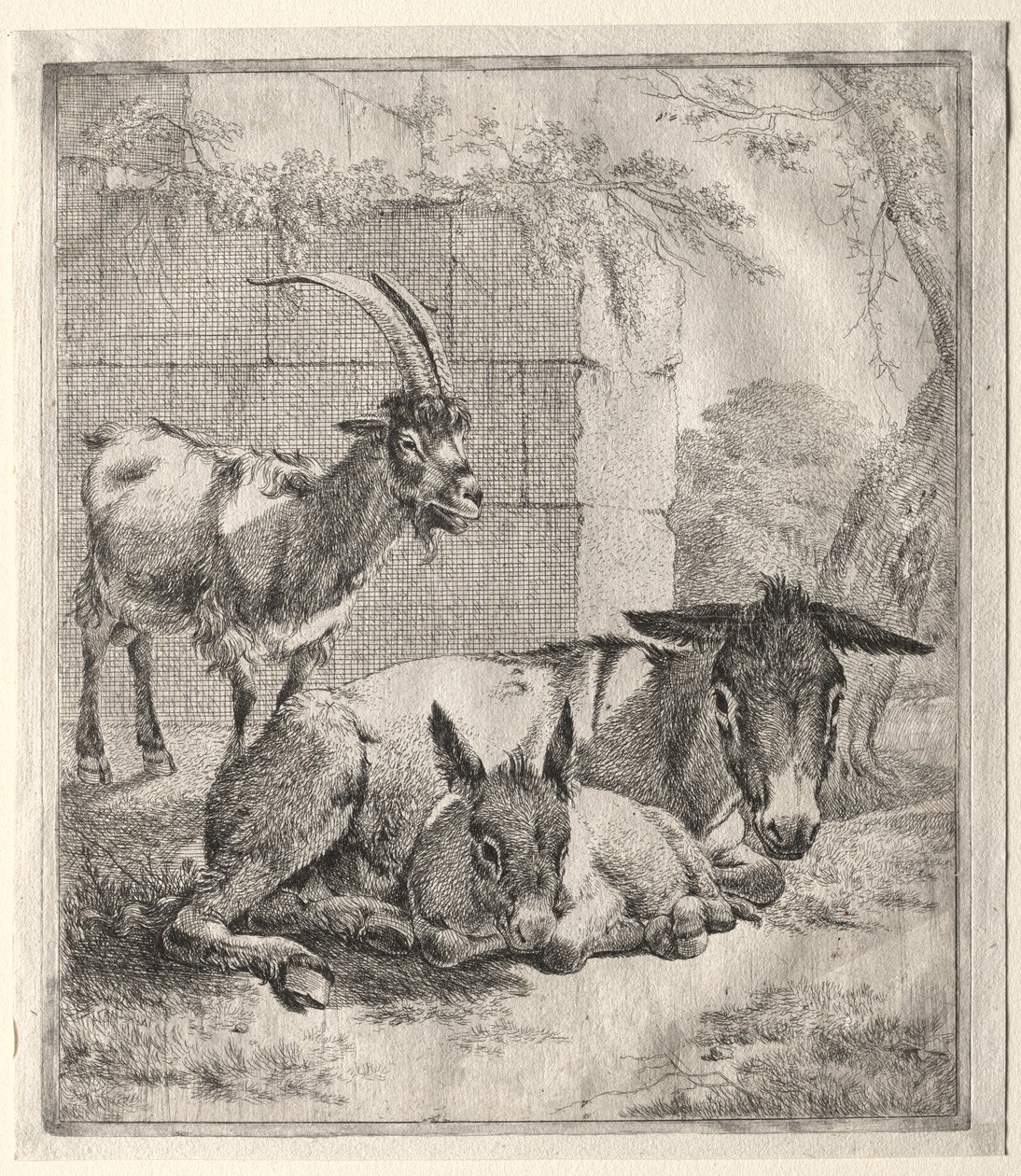 Cabra e burros. de Johann Heinrich Roos