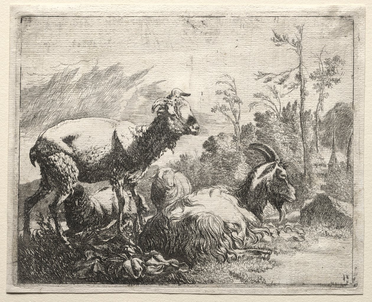 Cabras, 1665. de Johann Heinrich Roos