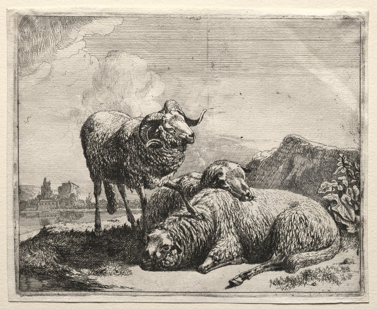 Ram e duas ovelhas, 1665. de Johann Heinrich Roos
