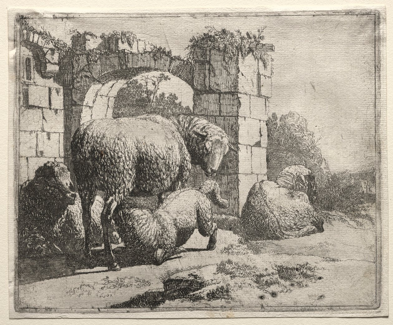 Ovelhas Perto das Ruínas de um Arco, 1665. de Johann Heinrich Roos