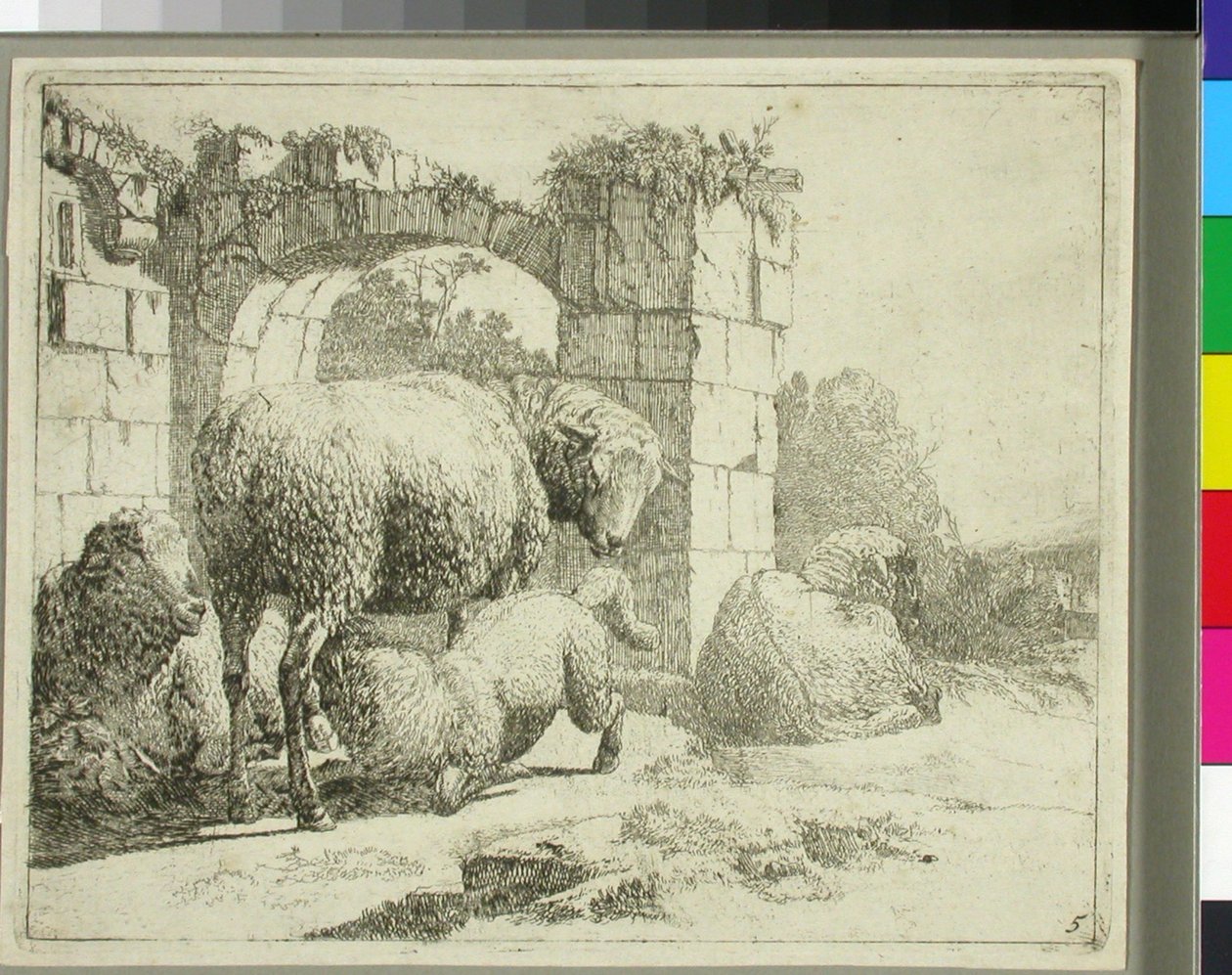 Ovelhas junto a um portão em ruínas de Johann Heinrich Roos