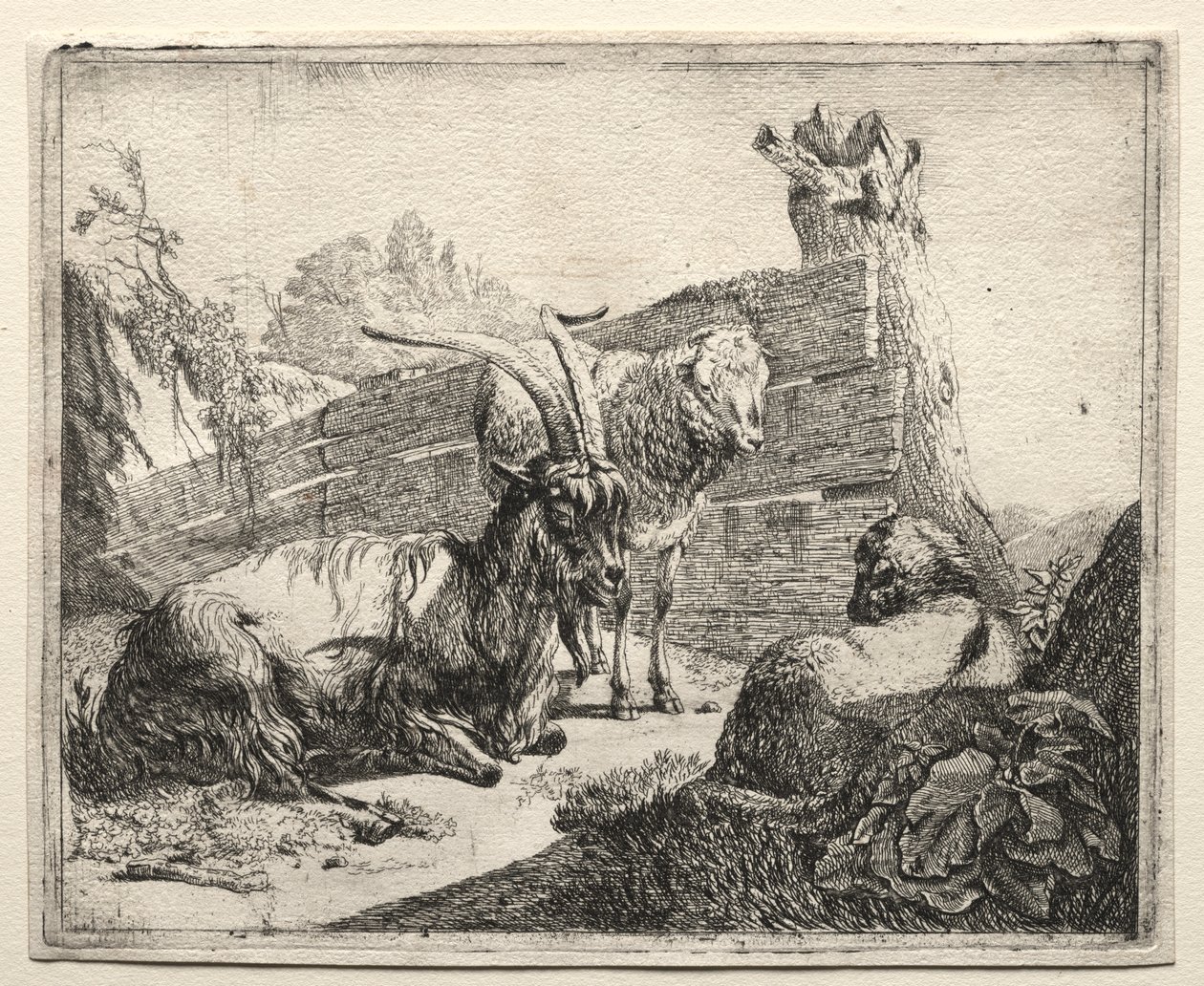 A sebe de Johann Heinrich Roos