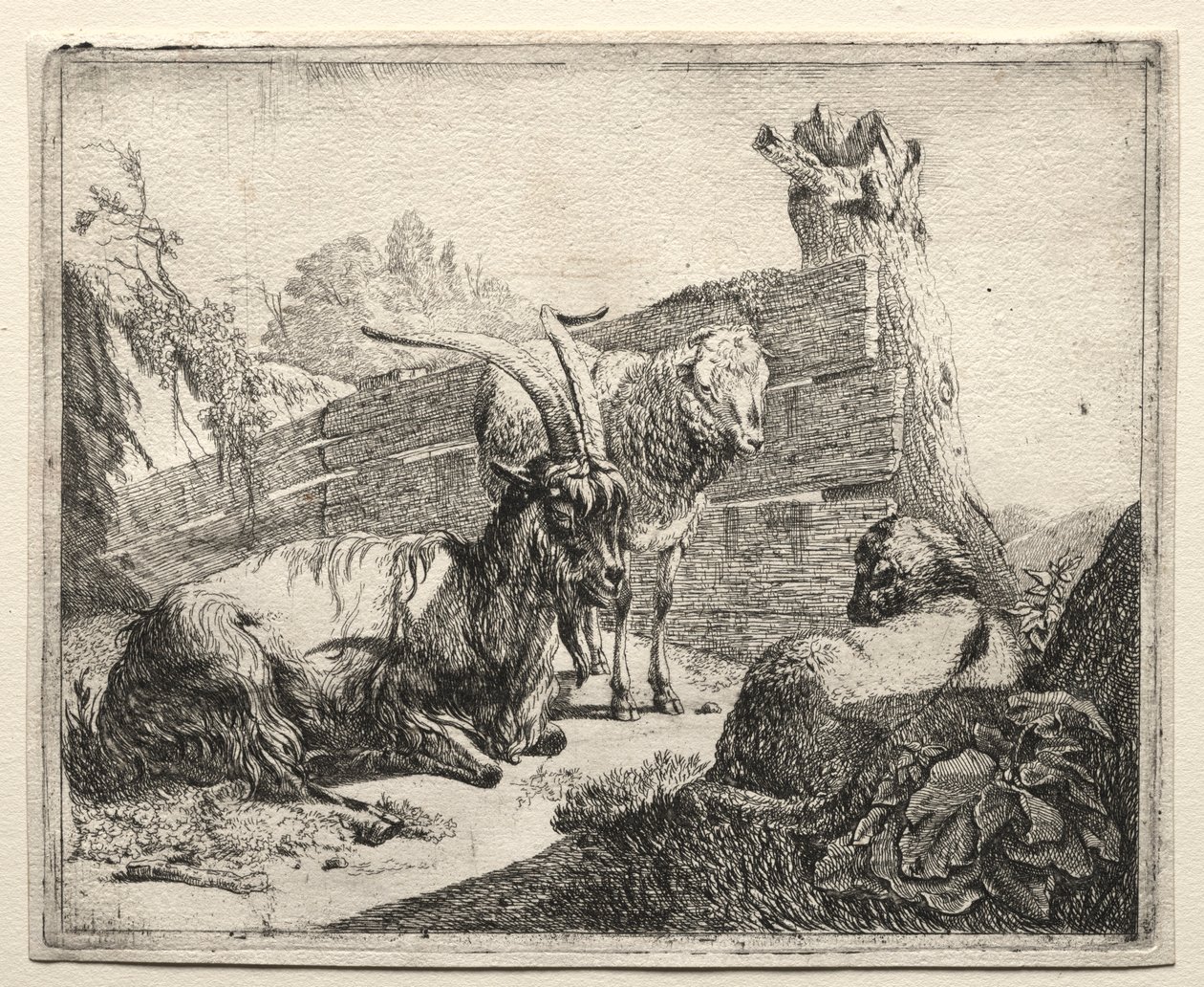 A sebe, 1665. de Johann Heinrich Roos