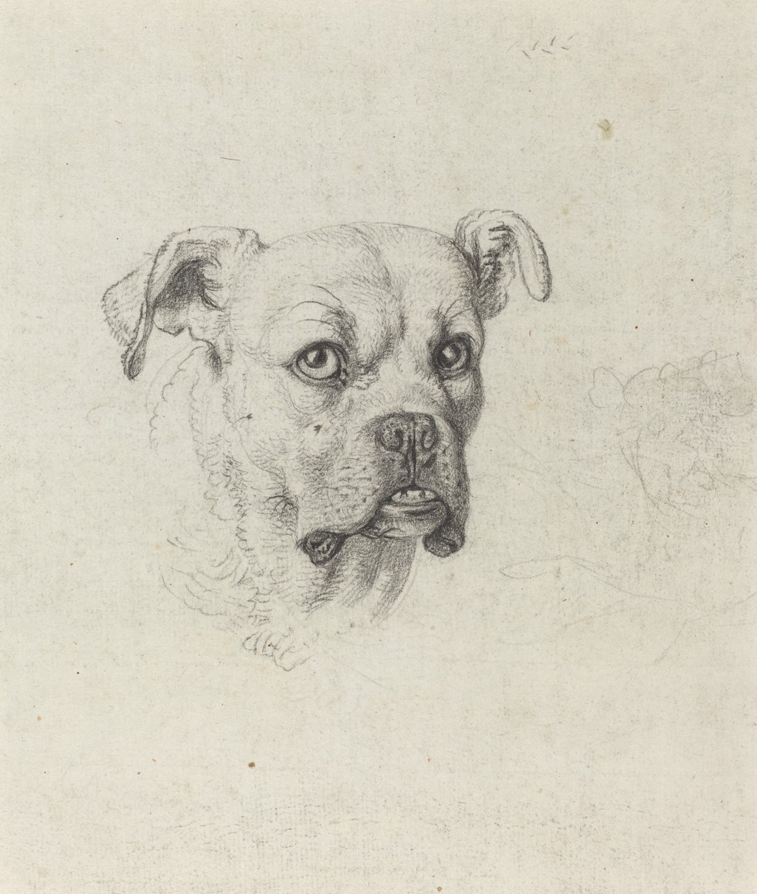 Um boxeador de Johann Heinrich Wilhelm Tischbein