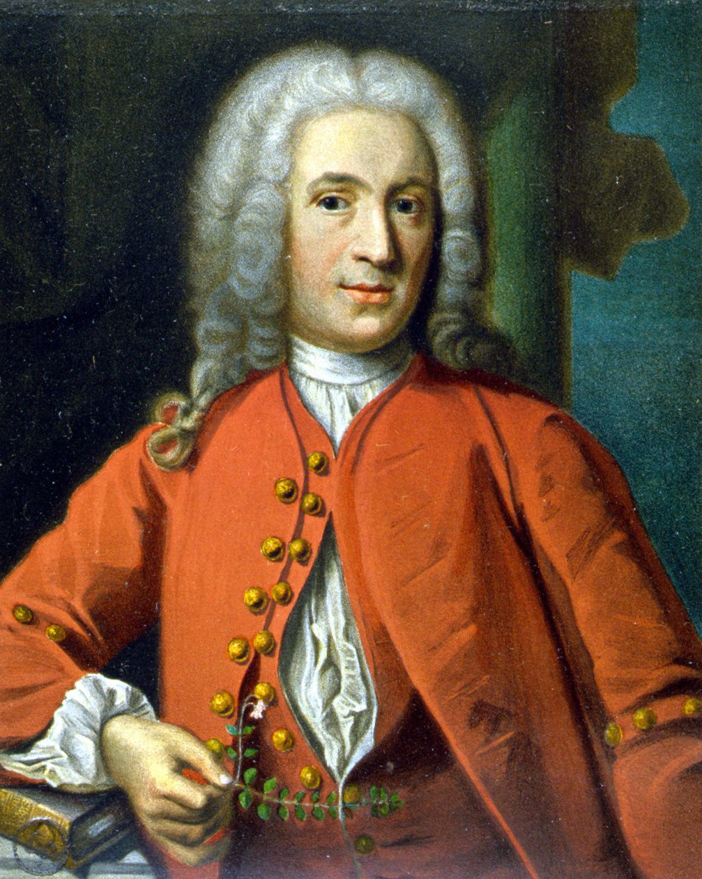 Carl Von Linné Naturalista e escritor sueco (1707 - 1778) - por J. H. Scheffel, em ""Retrato de Linné"" de Tycho Tullberg de Johann Henrik Scheffel