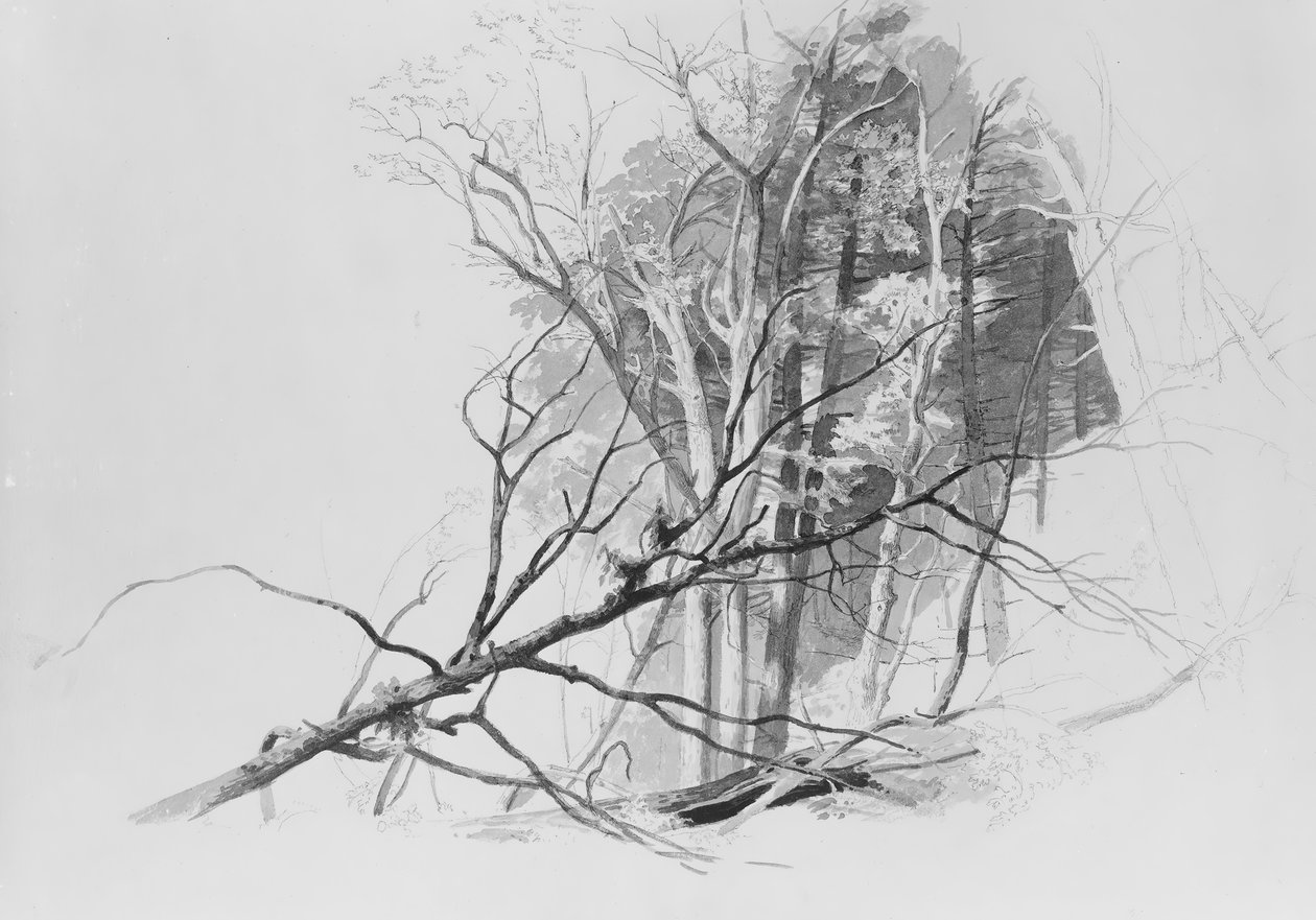 Cena da floresta, . de Johann Hermann Carmiencke