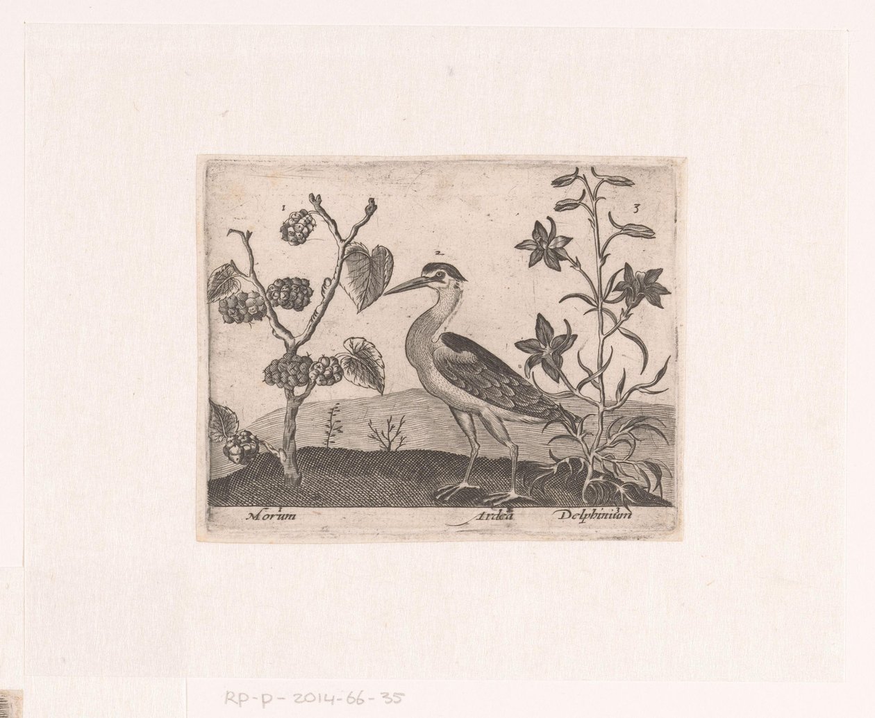 Série de gravuras com flores e animais em uma paisagem Paisagem com garça e espora Paisagens com animais, plantas e flores (título da série) de Johann Hogenberg