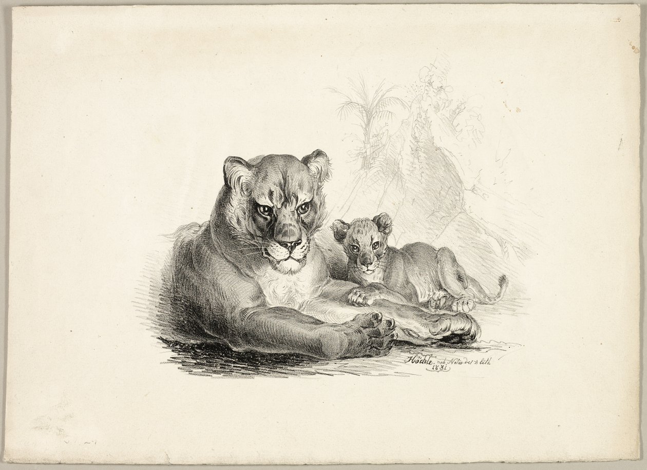 Leão com filhotes de Johann Höchle