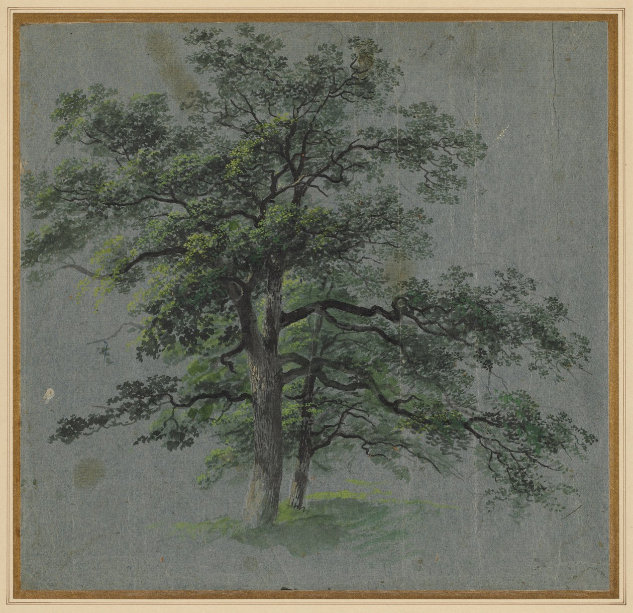 Duas Árvores, primeira metade de 1800. de Johann Jacob Dorner