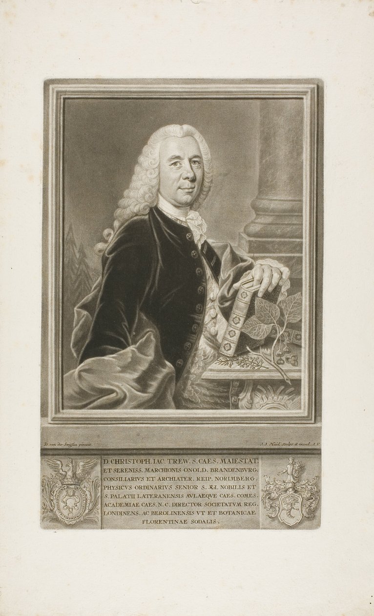 D. Christopher Jacob Trew, de Plantae Selectae de Johann Jacob Haid
