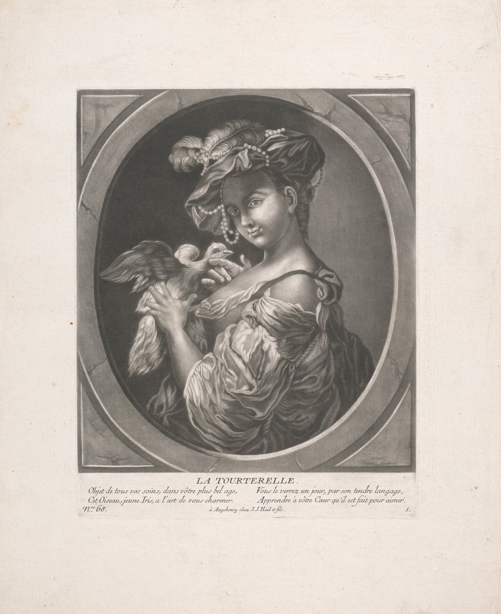 A Pomba Tartaruga de Johann Jacobus Haid