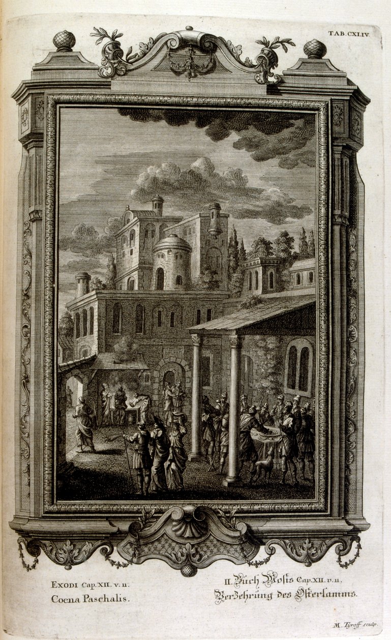Ilustração de Johann Jakob Scheuchzer
